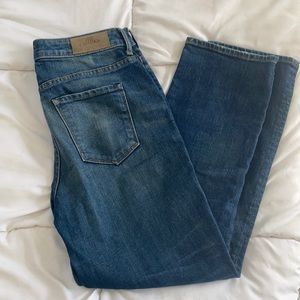 Aritzia The Castings Jean